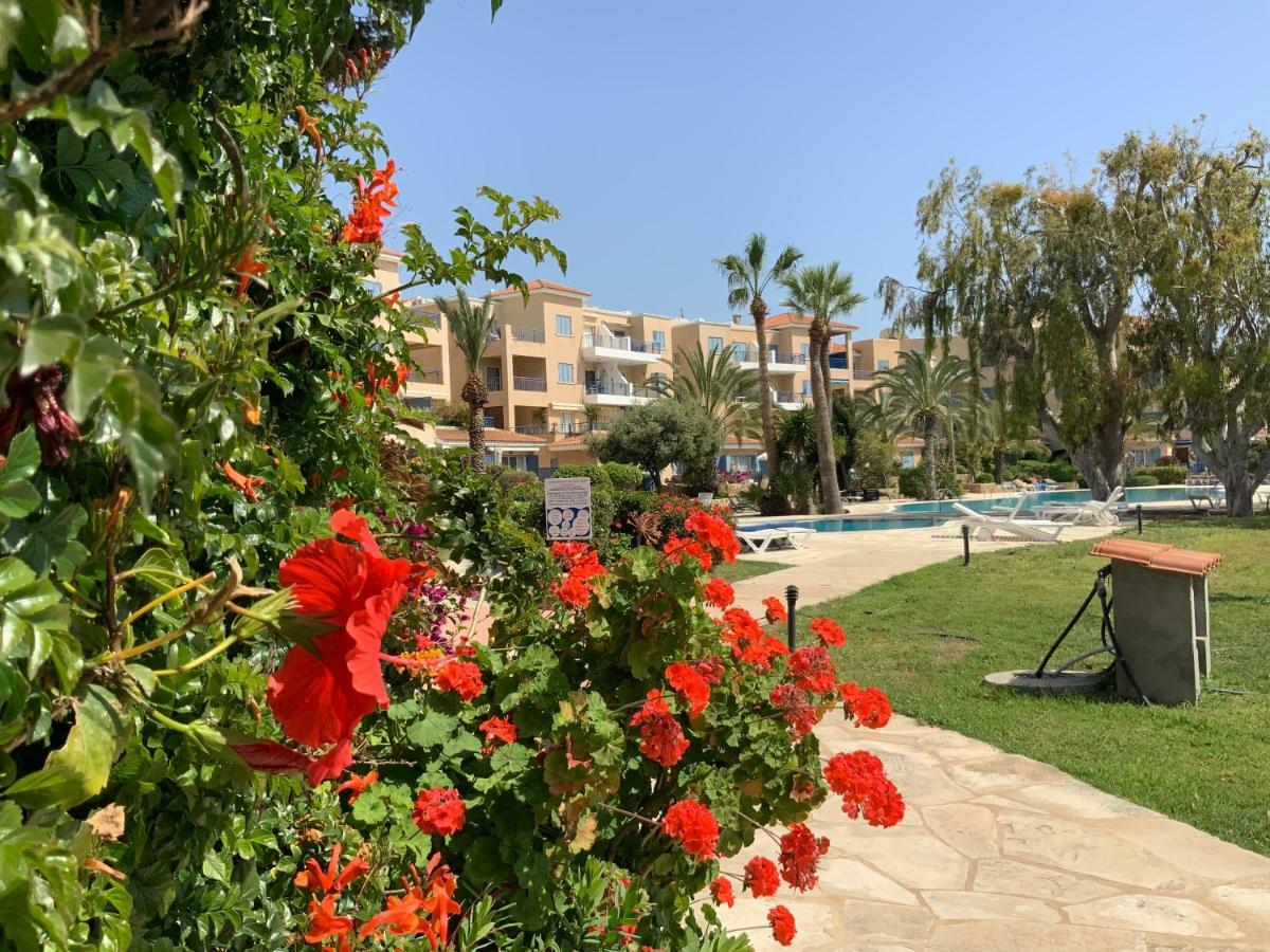 Kings Palace Indigo 109 Paphos Exterior photo